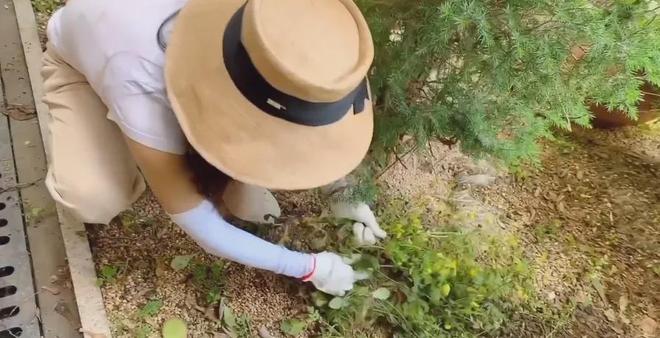 房子家里全是破烂却是无数人理想中的家！pg电子免费模拟器43岁女演员独居老(图22)