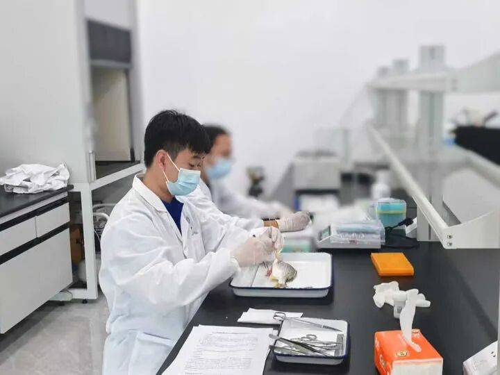 ——中山大学海洋科学学院创新守护“蓝色粮仓”｜新华智见pg电子娱乐平台把实验室搬到“塘头”让成果“游”上餐桌(图3)