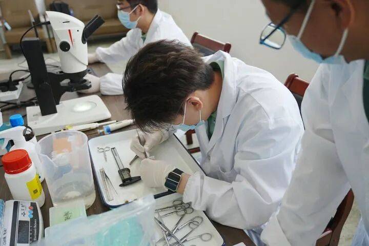 ——中山大学海洋科学学院创新守护“蓝色粮仓”｜新华智见pg电子娱乐平台把实验室搬到“塘头”让成果“游”上餐桌(图7)